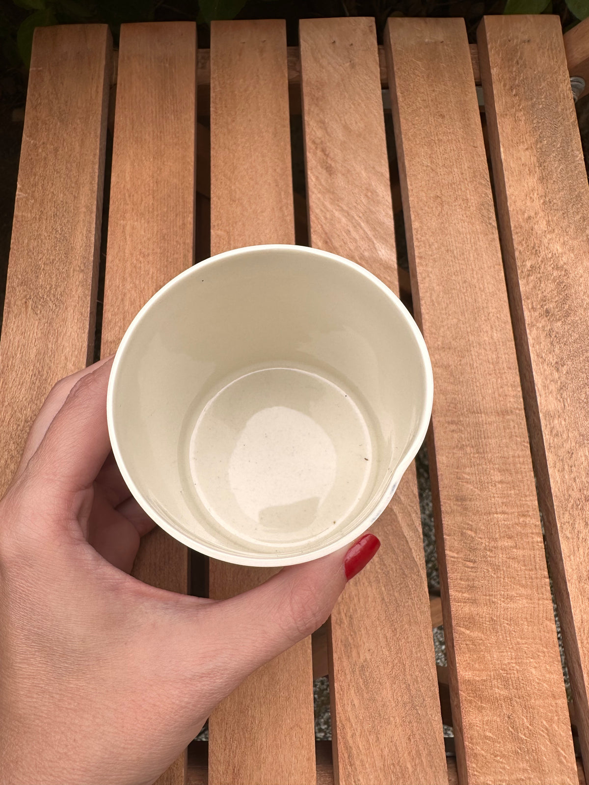 Kuş Limoges Porselen El Yapımı Kupa