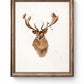 Suluboya Tablo “the deer”