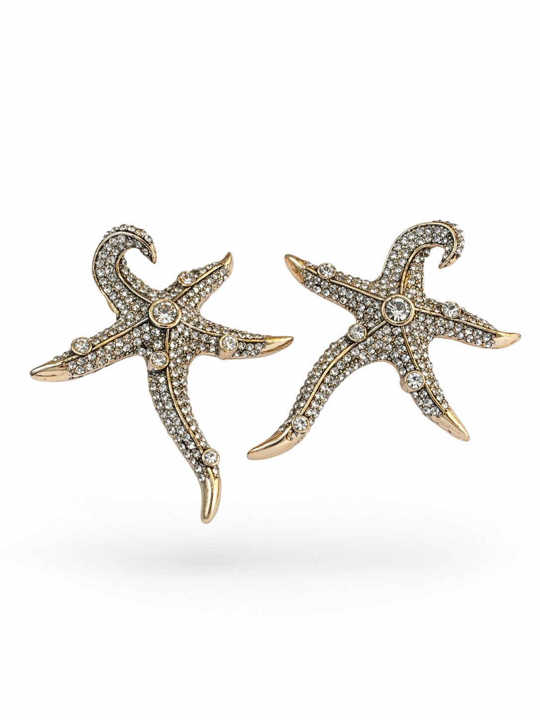 Starfish Earrings