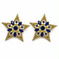 1907 Star Earrings